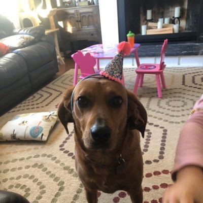 Profile Picture of Derek Burdick (@dburd20) on Twitter