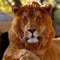 Profile Picture of Andrew Heino (@andrew-heino-1) on Quora