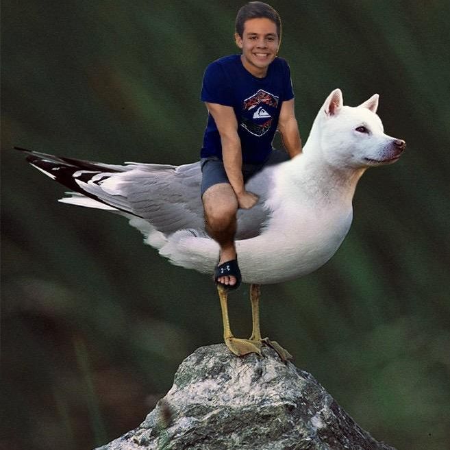 Profile Picture of Jason Hepfer (@jasonhepfer) on Tiktok