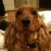 Profile Picture of Daisy Copp (@daisy.copp.7) on Facebook