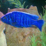 Christopher Perrette - Instagram Profile Picture of Christopher Perrette (@scenicsnapper) on Instagram