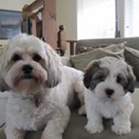 Profile Picture of Paul Rath (@paul-rath-1) on Quora