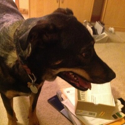 Profile Picture of Karl Armstrong (@jkarmstr) on Twitter
