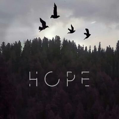 Profile Picture of Kalil Alexander (@alexander_kalil) on Twitter