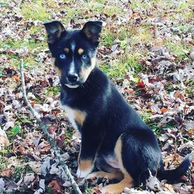 Profile Picture of Carley Page (@carleyannpage) on Pinterest