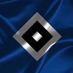 Profile Picture of Michael Sievertsen (@hsv_michi) on Instagram