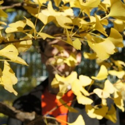 Profile Picture of Adam Giacobbe (@One_Red_Tree) on Twitter