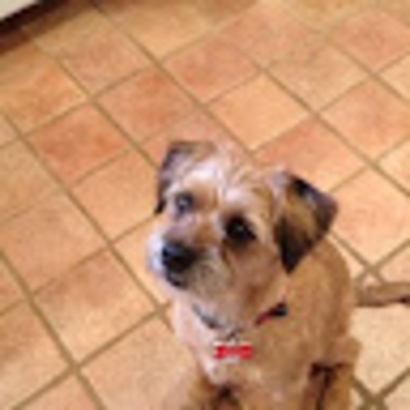 Profile Picture of Mary Betterley (@maredb73) on Poshmark