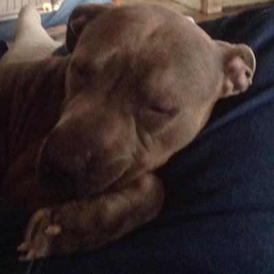 Profile Picture of Aaron Mattox (@aaron_mttox) on Twitter