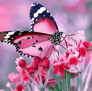 Profile Picture of Lee Hoban (@lee.hoban.10) on Facebook