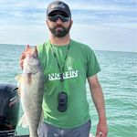 Profile Picture of Mike Oley (@mhohuntfish) on Instagram