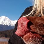 Profile Picture of Misti Adele Kelsay (@misti.kelsay) on Facebook