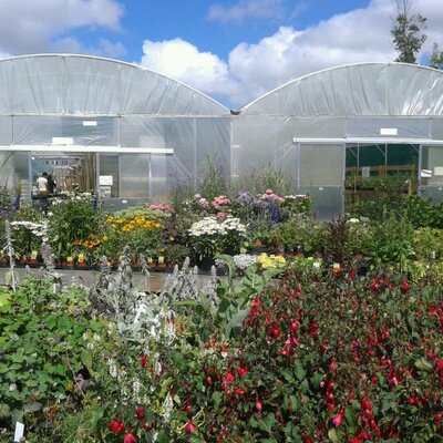 Profile Picture of Sam Millen (@Vineyard_GC) on Twitter