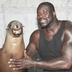 Profile Picture of Jeff Landers (@MeechMoop) on Twitter