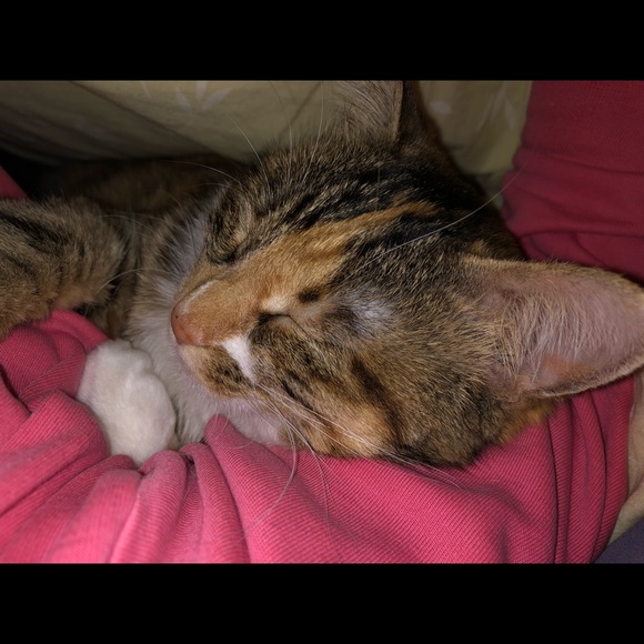 Profile Picture of Bin yan Xue (@bxue) on Poshmark