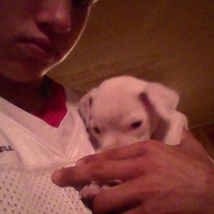 Profile Picture of Ethan Wayne Seaton (@EthanWayn15) on Twitter