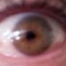 Profile Picture of Andrew Storer (@Andrew-Storer) on Facebook