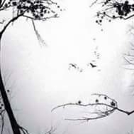 Profile Picture of Pamela Jarman (@pamela.jarman.3) on Facebook