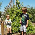 Lori Nicholas - Instagram Profile Picture of Lori Nicholas (@lorinicholas1) on Instagram