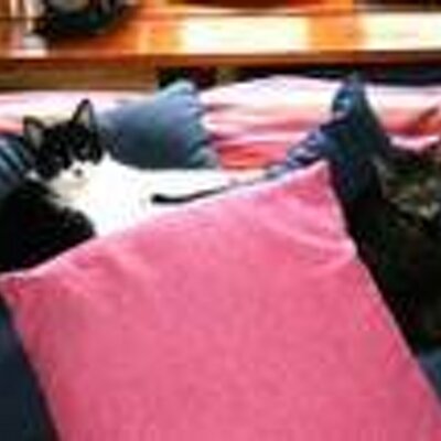 Profile Picture of Jaime Cordero (@jaimecordero2) on Twitter