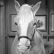 Profile Picture of Wicky Woo Pinkvalley (@stickytoria2002) on Youtube