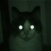 Profile Picture of Jack Curl (@jacktx42) on Pinterest