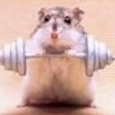 Homero Morales - Twitter Profile Picture of Homero Morales (@homoja1315) on Twitter