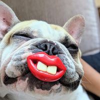 Profile Picture of Morice Thanasack (@morice-thanasack) on Quora