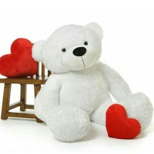 Profile Picture of Koushiki Koduganti (@kskoushiki) on Twitter