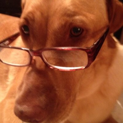 Profile Picture of Eric Michael Milner (@milner_eric) on Twitter