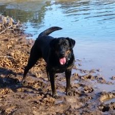 Profile Picture of Linda Branch (@Lindabr74486958) on Twitter