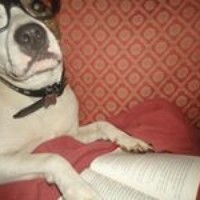 Profile Picture of Tyler Freeman (@tyler-freeman-9) on Quora