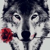 Profile Picture of Daniel W (@@danielwiedenmann2) on Tiktok