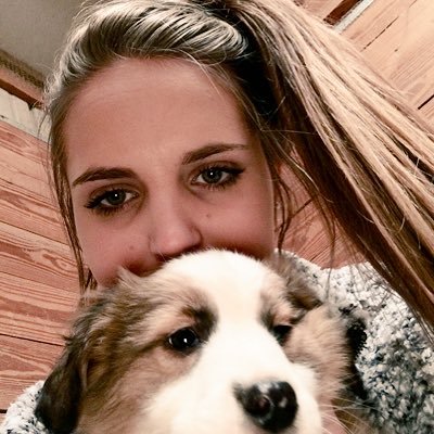 Profile Picture of Allison Pankoff (@@allison_pankoff) on Twitter