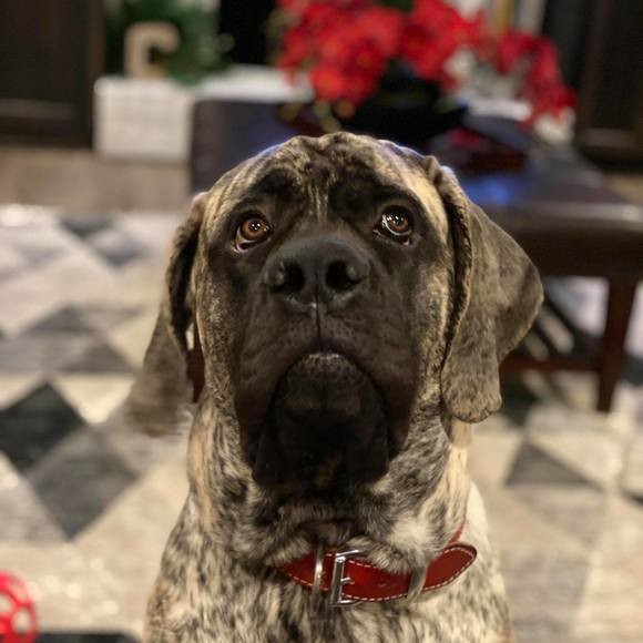 Profile Picture of Kelly Credle (@kellycredle) on Poshmark