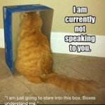 Cody Paul Shiers - Instagram Profile Picture of Cody Paul Shiers (@cody_shiers) on Instagram