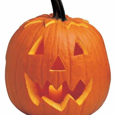 Profile Picture of Jeff Nelson (@JeffreyWild) on Twitter