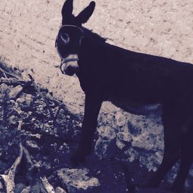 Profile Picture of Nathan Caldera (@nathancaldera) on Pinterest