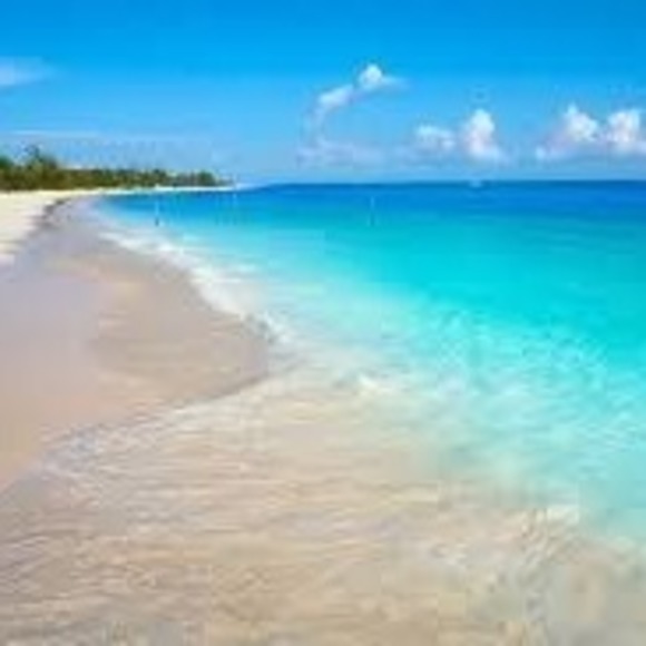 Profile Picture of Rsan Rsan (@rosyaguirre1982) on Poshmark