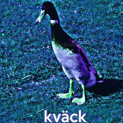 Profile Picture of Kväck (@pfeiffer_gavin) on Twitter
