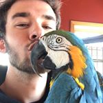 Profile Picture of Vincent Rousseau (@vincent_rousseau97) on Instagram