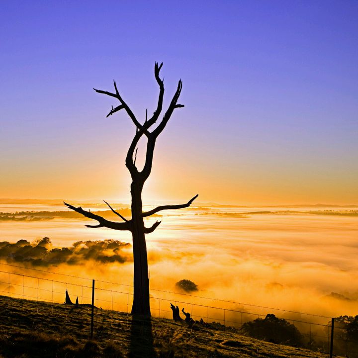 Profile Picture of robert.leffler4 (@robert.leffler4) on Tiktok