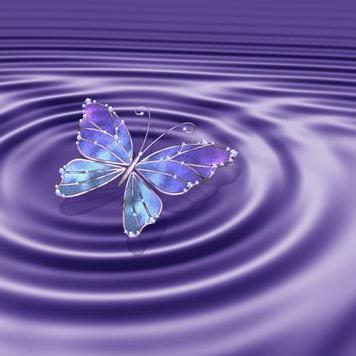 Profile Picture of Mandie Speights (@1ac8974c20bf4bc) on Twitter