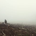 Profile Picture of Nicolas Fournier (@the_real_fungilas_sporenier) on Instagram