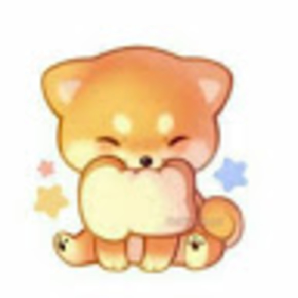 Profile Picture of Alina Kozulya (@alinakozulya7) on Poshmark