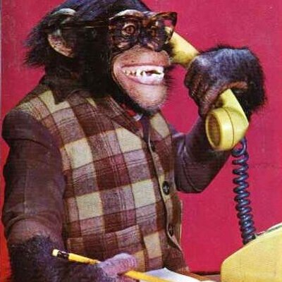 Profile Picture of Chris Goodchild (@skinnycjg) on Twitter