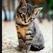 Profile Picture of Kendall Brewer (@breweken) on Pinterest