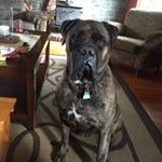 Profile Picture of John Aylward (@jcaylward) on Instagram