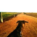 Profile Picture of Tyler McClinton (@liltj9466) on Instagram