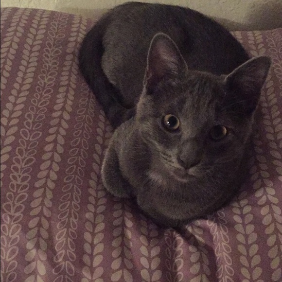 Profile Picture of Kim Eskew (@kimmeskew3) on Poshmark